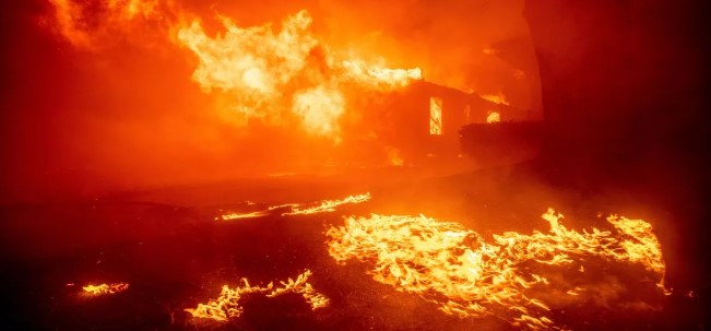 LA Wildfires Kill 5, Powerful Winds Spread Flames Across Communities