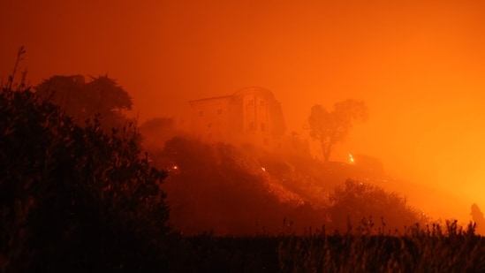 Los Angeles Wildfire Devastation