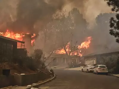 California Wildfires Rage Out of Control: 3,000 Acres Burn, Thousands Flee as Homes Are Destroyed