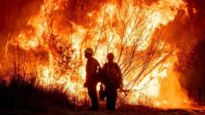 Red Tape Blocks Private Security Amid LA Wildfires