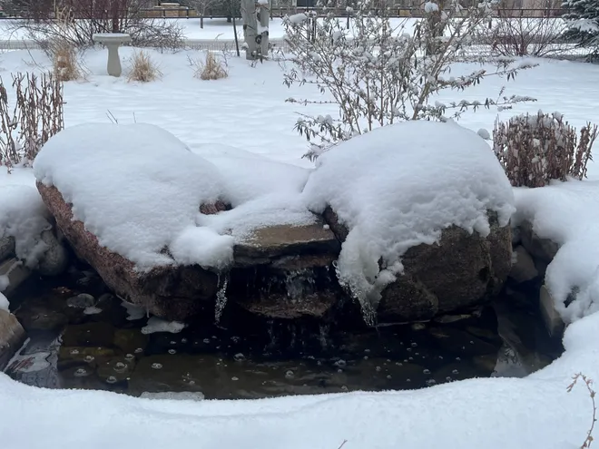 Shocking Winter Storm Blankets All 50 States with Snow