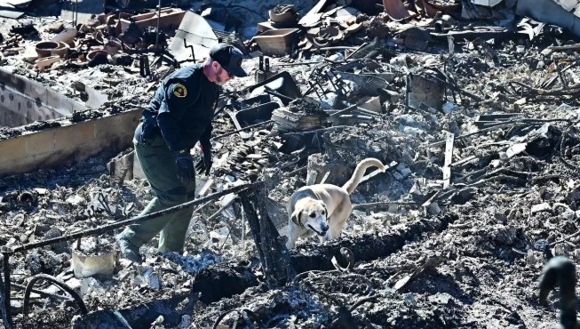 Tragic: California Wildfire Death Toll Climbs to 27 as Cadaver Dogs Search for Victims