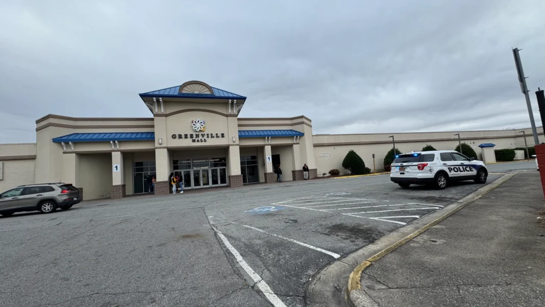 Gunshots Spark Panic at Greenville Mall – Witnesses Share Their Shocking Stories